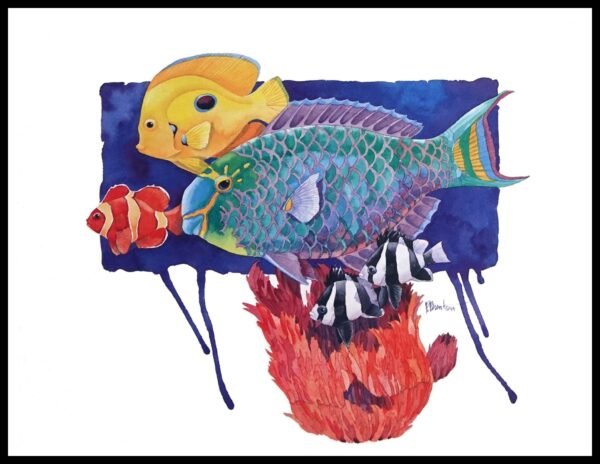 PBD 1278 Parrot Fish